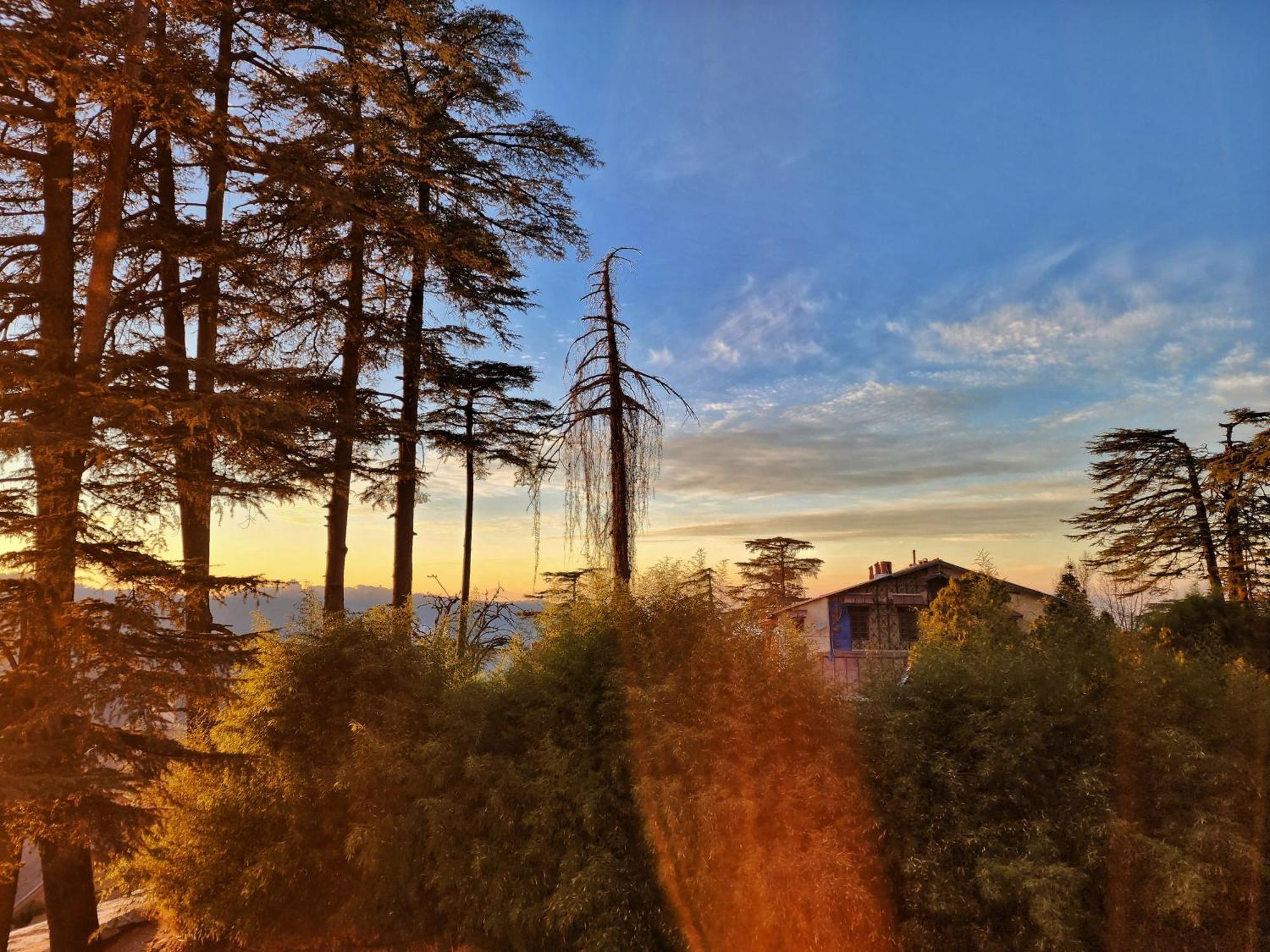 Hotel Pineview Shimla Extérieur photo