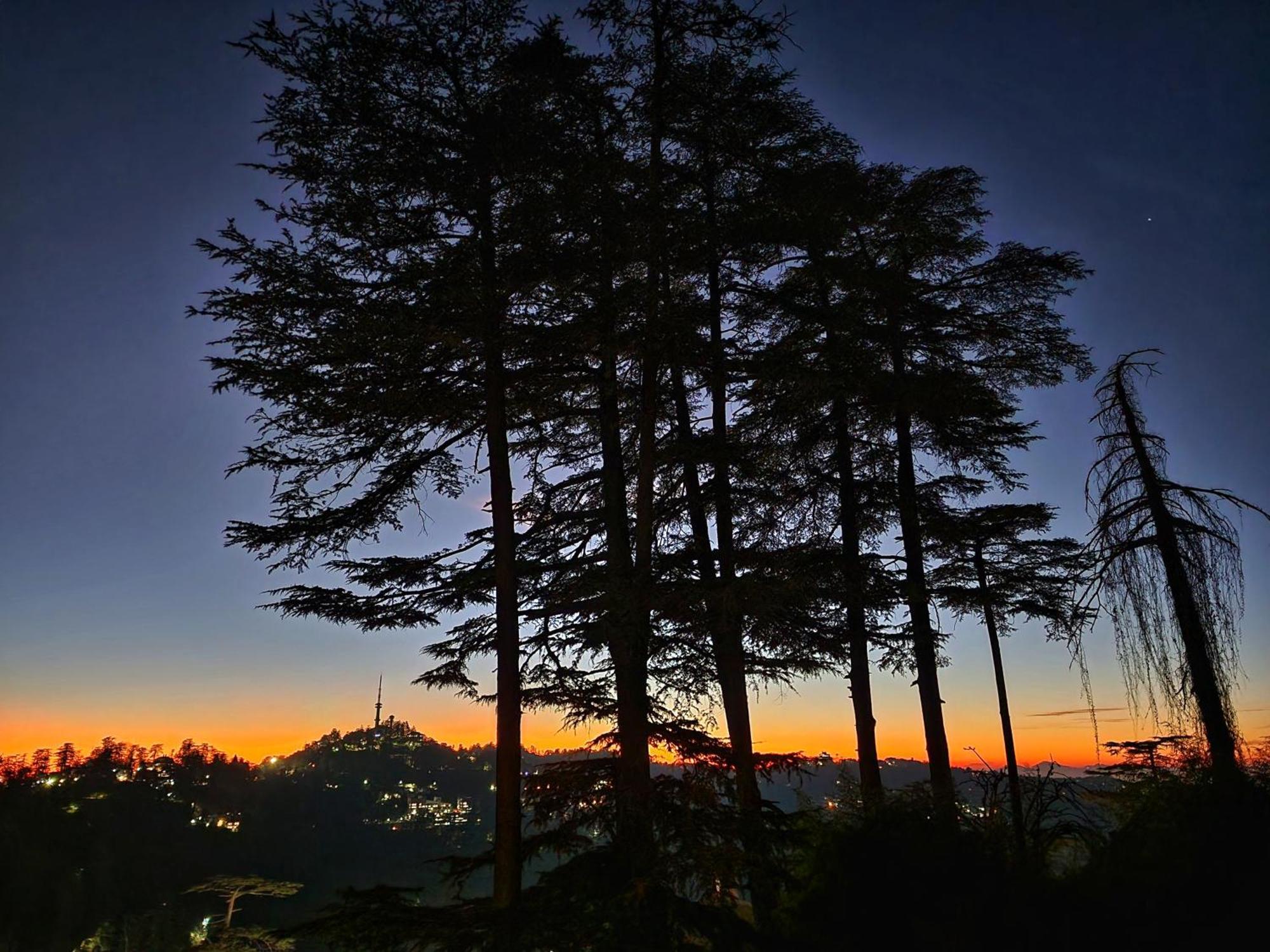 Hotel Pineview Shimla Extérieur photo