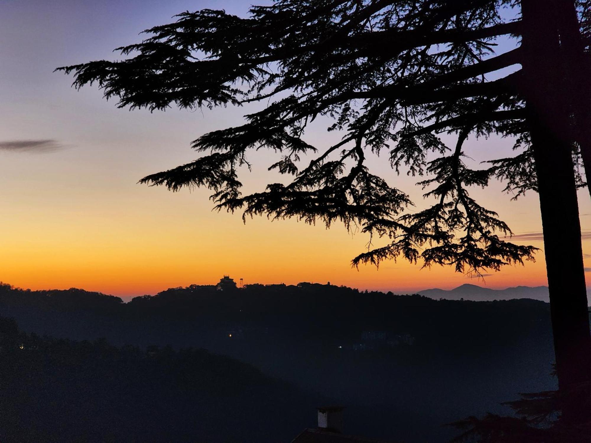 Hotel Pineview Shimla Extérieur photo